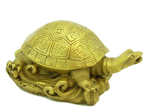 Tortoise Position as per Vastu Shastra 