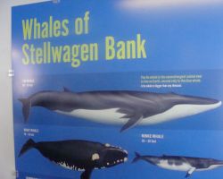 Information poster